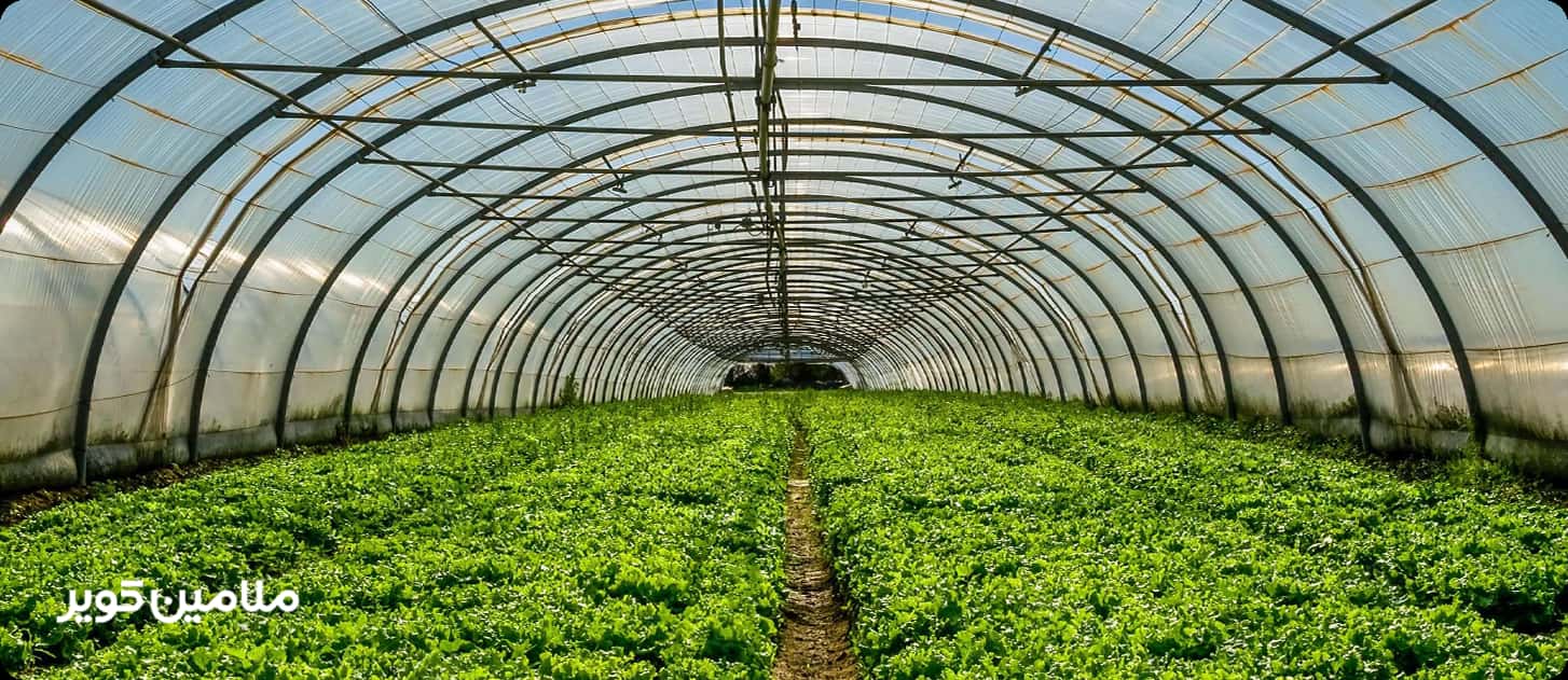 برگزاری دوره حرفه‌ای مقررات بازرگانی خارجی و سامانه جامع تجارت در مهرماه ۱۴۰۵
