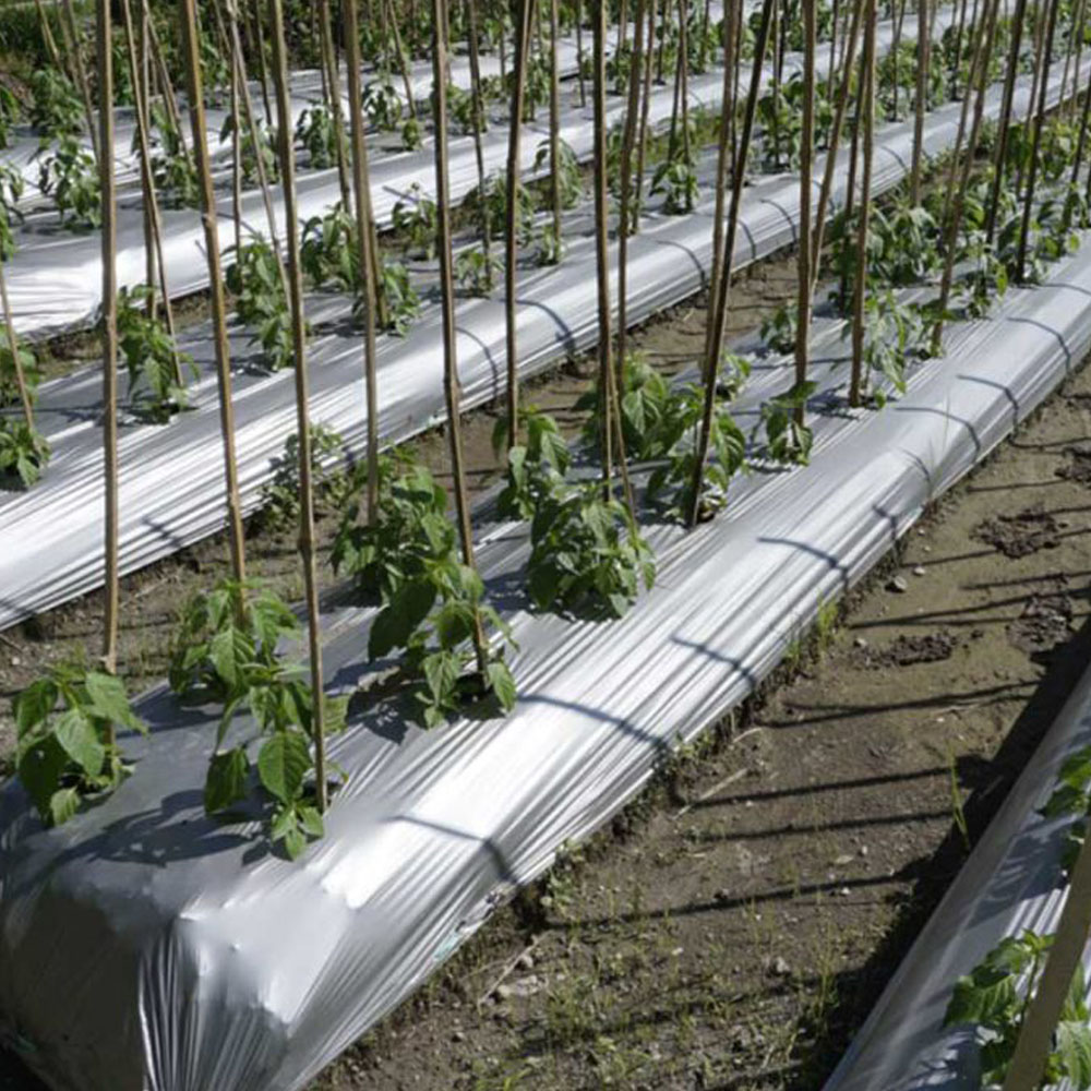 نایلون های کشاورزی