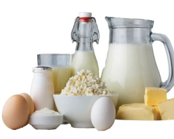 Dairy products and eggs