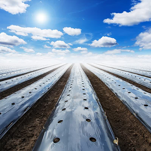 متن خود را وارد نمایید