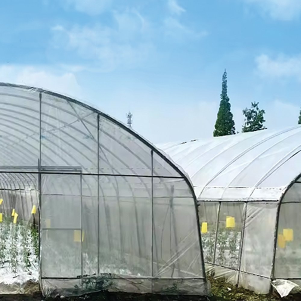 متن خود را وارد نمایید