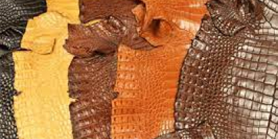  Wool and skin of all kinds of animals