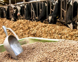  Feed and livestock institutions