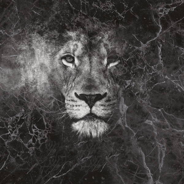 متن خود را وارد نمایید