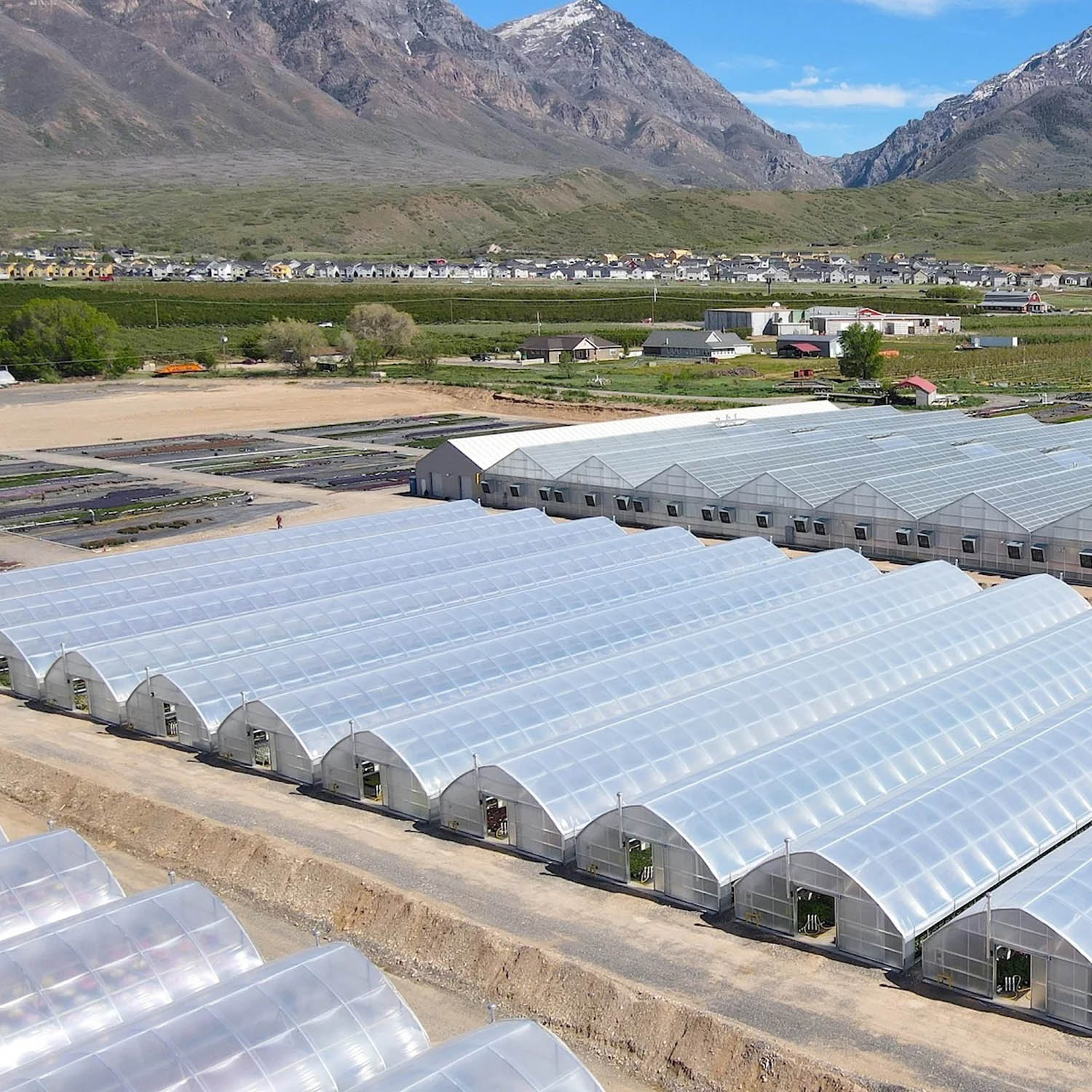 شرکت اتیلن کویر یزد