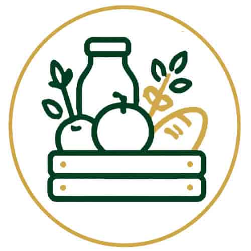 بیمه های حمایتی
