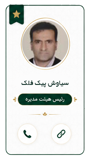 رئیس هیئت مدیره 