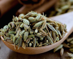 تخم رازیانه