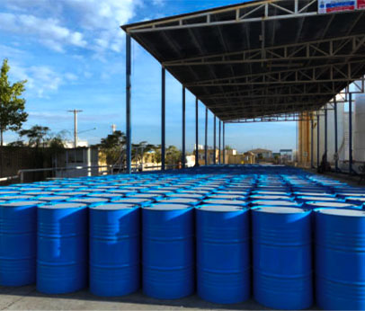 متن خود را وارد نمایید