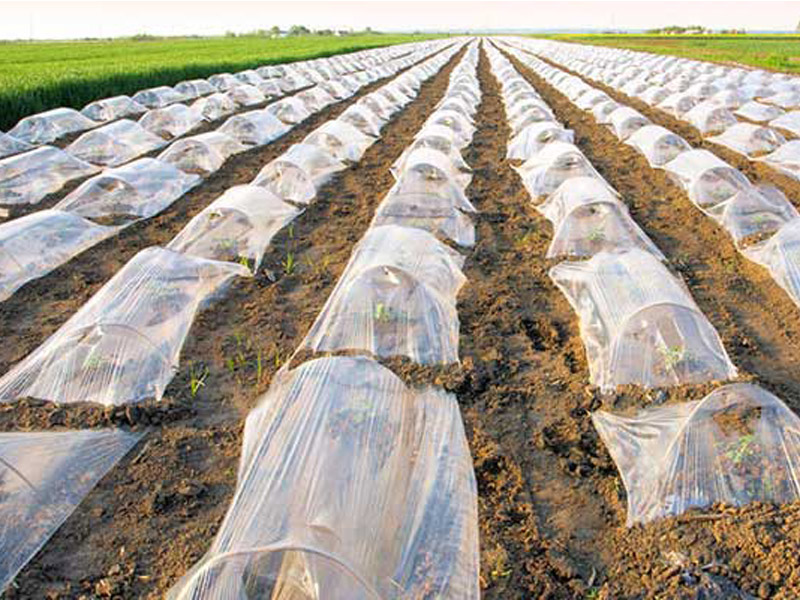 نایلون کشاورزی