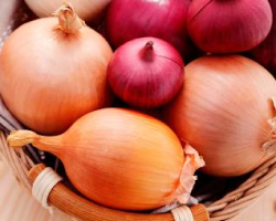 an onion