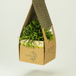 محمدحسن گلبن حقیقی | فروشگاه گیلماژ