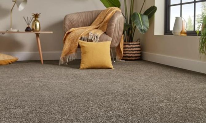 چرا موکت پردیس بافت یزد: