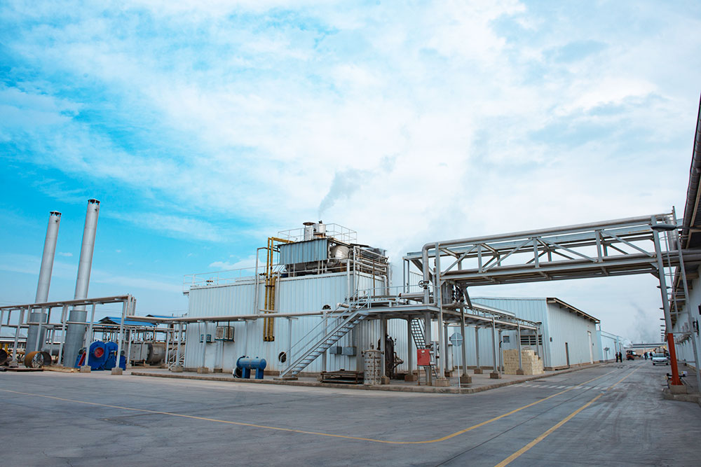 متن خود را وارد نمایید