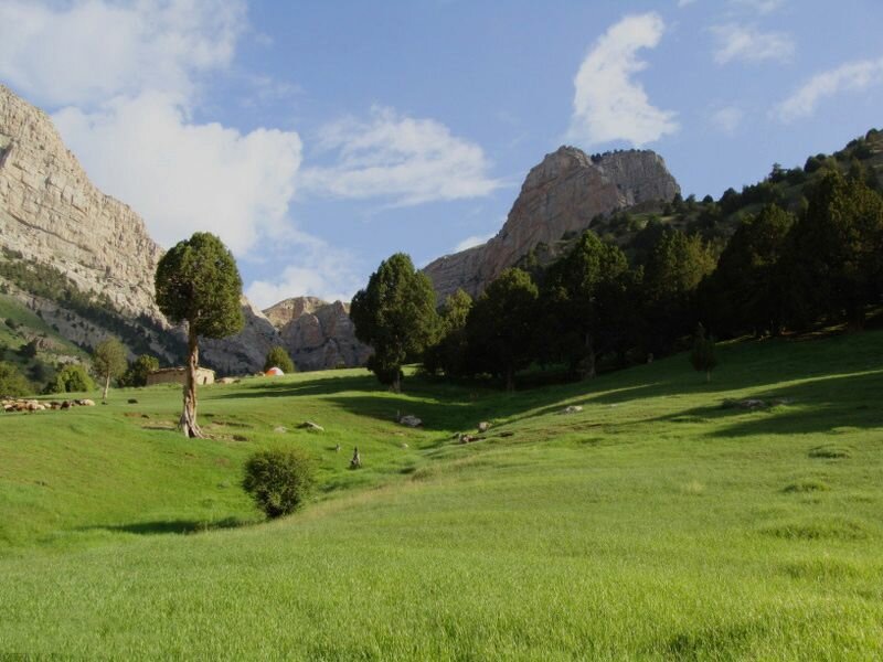 عنوان عکس