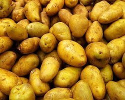 سیب زمینی